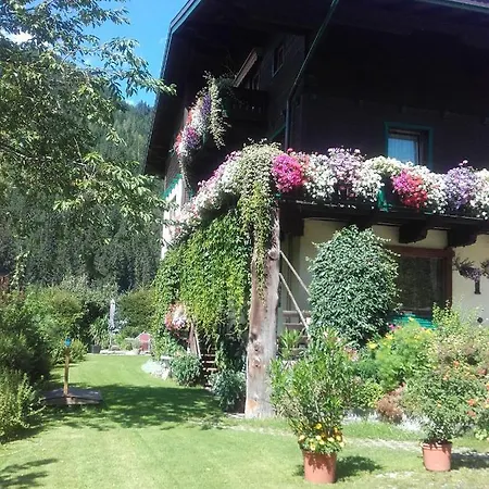 Guest house Regina