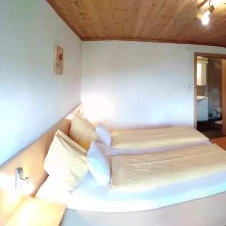 Guest house Regina Werfenweng